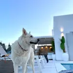 Willa Sunsenses Luxury Paros *
