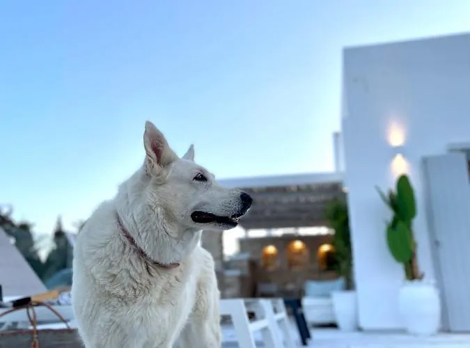 Βίλα Sunsenses Luxury Paros *